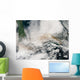 Volcanic Ash Plumes from Wall Decal