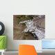 Hindu Kush Wall Decal