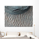 Ius Chasma Large Canyon Wall Decal