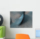 Two Classes Aeolian Bedforms Wall Decal