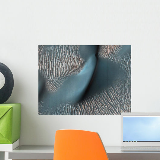 Two Classes Aeolian Bedforms Wall Decal