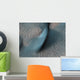 Two Classes Aeolian Bedforms Wall Decal