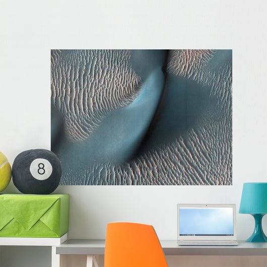 Two Classes Aeolian Bedforms Wall Decal