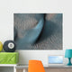 Two Classes Aeolian Bedforms Wall Decal