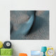 Two Classes Aeolian Bedforms Wall Decal