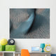 Two Classes Aeolian Bedforms Wall Decal