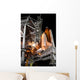 Space Shuttle Endeavour Launch Wall Decal Design 5