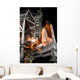 Space Shuttle Endeavour Launch Wall Decal Design 5