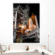 Space Shuttle Endeavour Launch Wall Decal Design 5