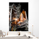Space Shuttle Endeavour Launch Wall Decal Design 5
