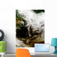 Solar Eclipse over Southeast Wall Decal
