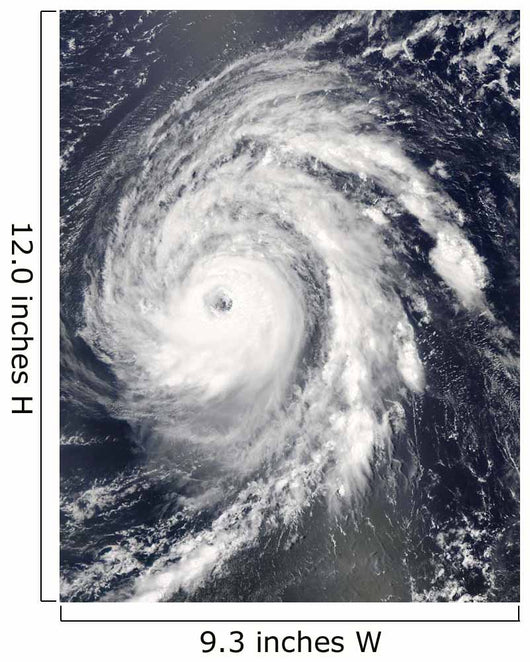 Hurricane Bill Atlantic Ocean Wall Decal Design 1
