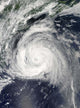 Hurricane Bill off East Wall Decal