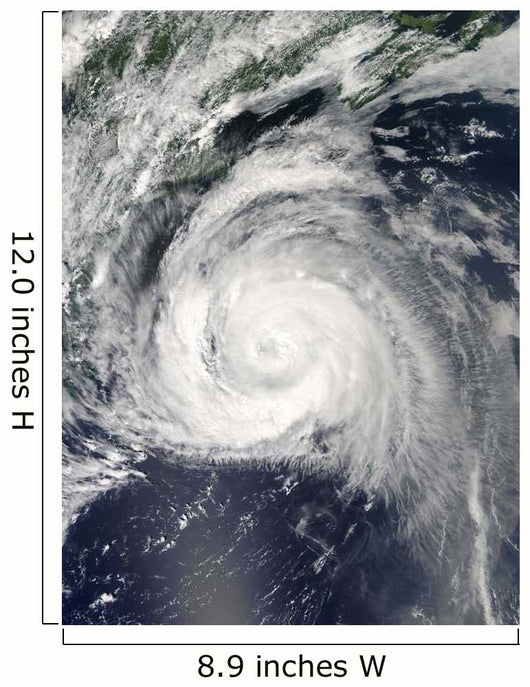 Hurricane Bill off East Wall Decal