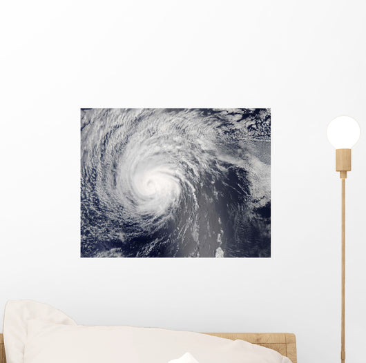Hurricane Felicia Wall Decal