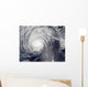Hurricane Felicia Wall Decal