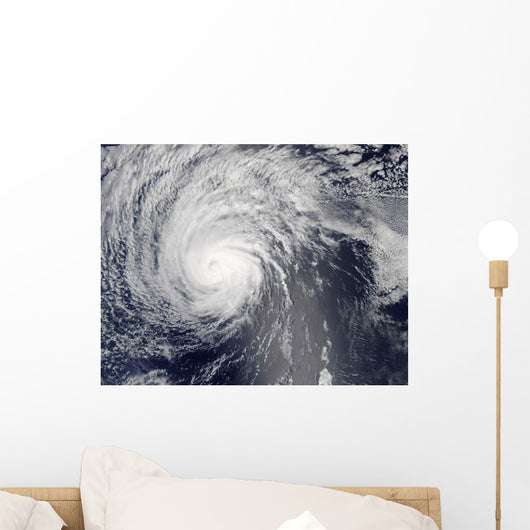 Hurricane Felicia Wall Decal