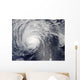 Hurricane Felicia Wall Decal