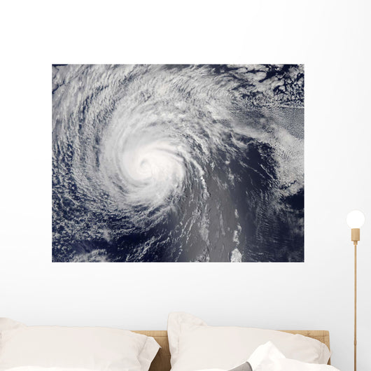 Hurricane Felicia Wall Decal