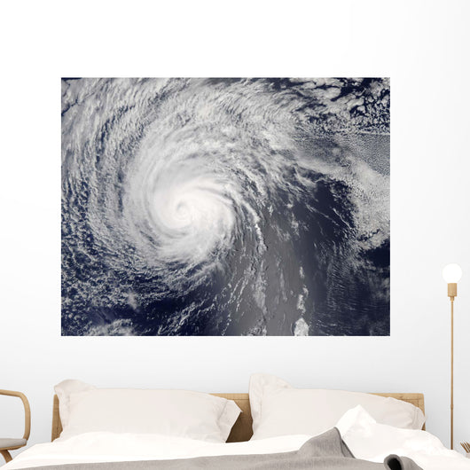 Hurricane Felicia Wall Decal
