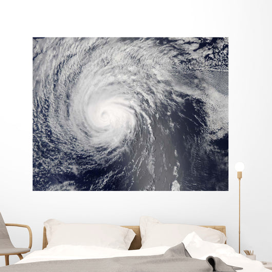 Hurricane Felicia Wall Decal