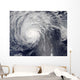 Hurricane Felicia Wall Decal