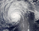 Hurricane Felicia Wall Decal