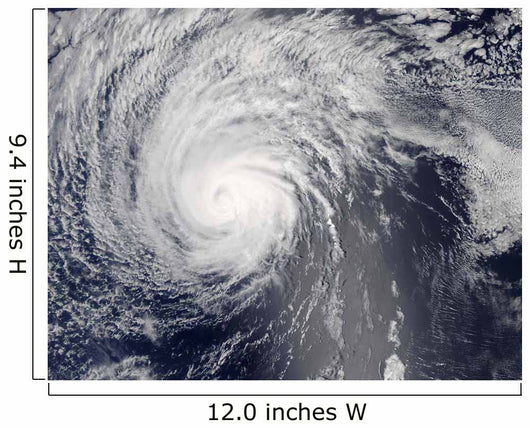 Hurricane Felicia Wall Decal