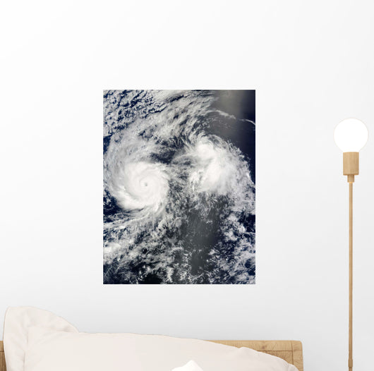 Hurricane Felicia and Tropical Wall Decal