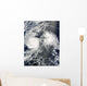 Hurricane Felicia and Tropical Wall Decal
