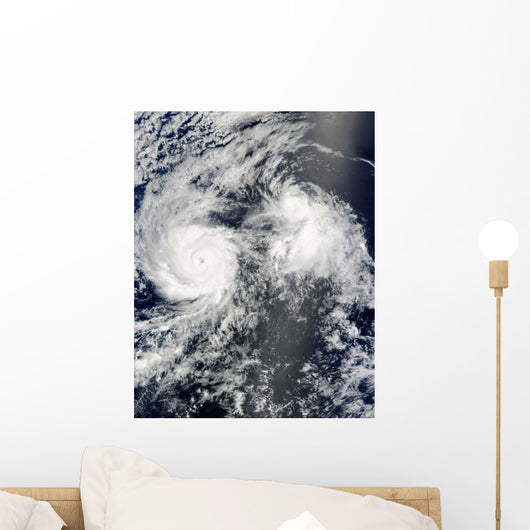 Hurricane Felicia and Tropical Wall Decal