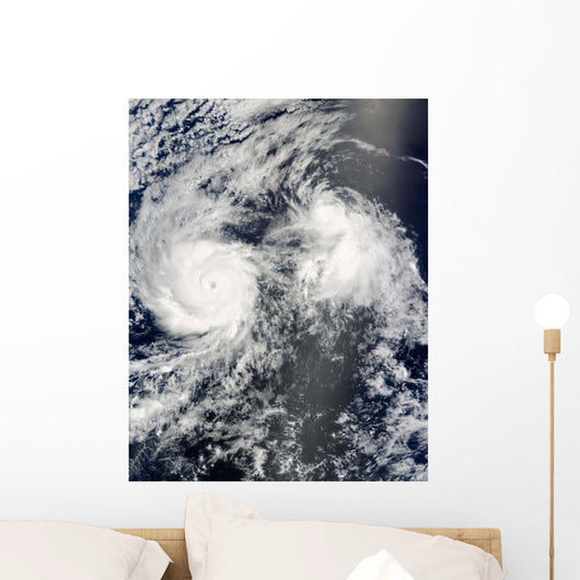 Hurricane Felicia and Tropical Wall Decal