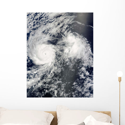 Hurricane Felicia and Tropical Wall Decal
