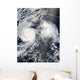 Hurricane Felicia and Tropical Wall Decal