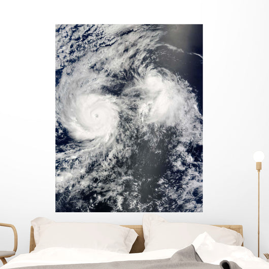 Hurricane Felicia and Tropical Wall Decal