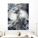 Hurricane Felicia and Tropical Wall Decal