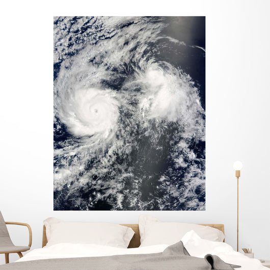 Hurricane Felicia and Tropical Wall Decal