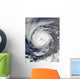 Tropical Storm Guillermo Wall Decal