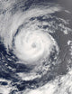 Tropical Storm Guillermo Wall Decal