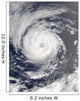 Tropical Storm Guillermo Wall Decal