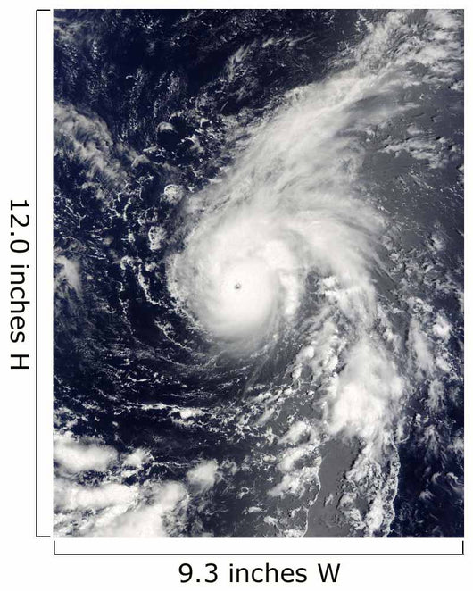 Typhoon Vamco Pacific Ocean Wall Decal