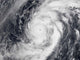 Typhoon Damrey Western Pacific Wall Decal