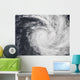 Cyclone Zoe South Pacific Wall Decal