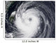 Typhoon Chaba Western Pacific Wall Decal