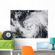 Hurricane Wilma Atlantic and Wall Decal