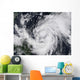 Hurricane Wilma Atlantic and Wall Decal