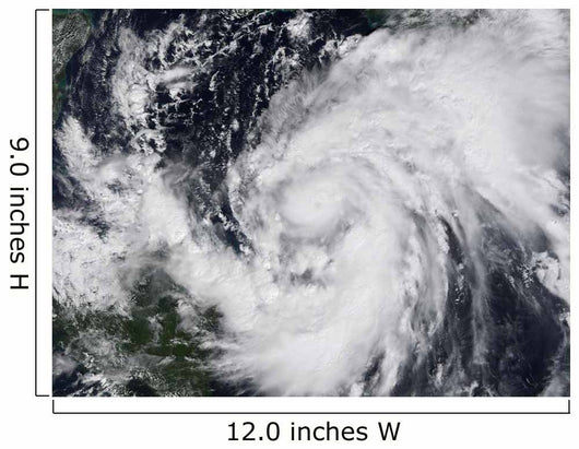 Hurricane Wilma Atlantic and Wall Decal