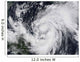 Hurricane Wilma Atlantic and Wall Decal