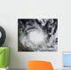 Severe Tropical Cyclone Hamish Wall Decal