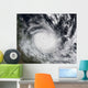 Severe Tropical Cyclone Hamish Wall Decal